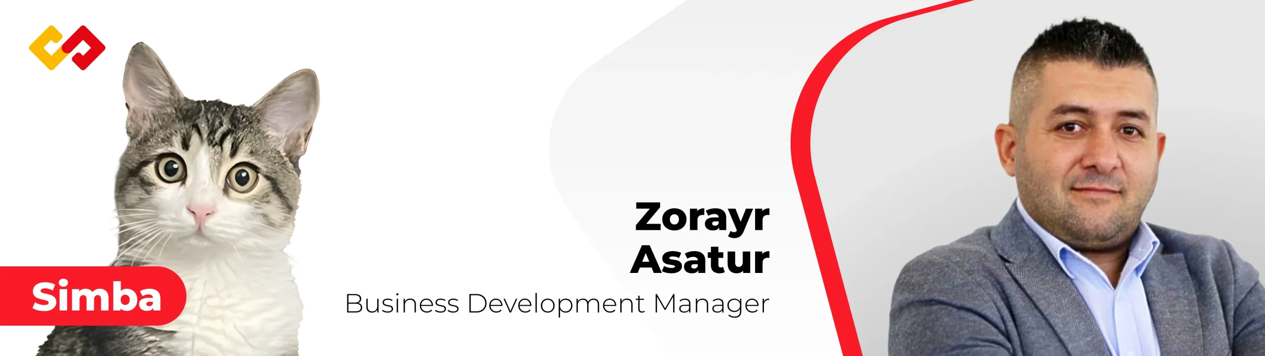 Zorayr Asatur cat.